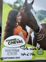 Fête du cheval